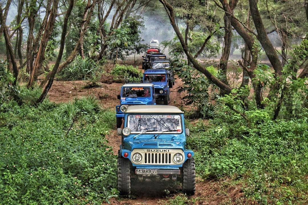 Wisata jeep pantai goa cemara